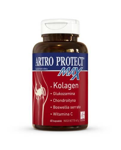 Artro Protect Max, kapsułki, 60 sztuk